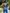 Denim Jumpsuit mit Rückenausschnitt Damen – Sophie