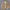 Warme Winterjacke für Outdoor und Alltag – Everrett