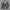 Warme Winterjacke für Outdoor und Alltag – Everrett