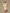 Beiges Damen Set mit Skort und Blazer – Lena