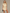 Beiges Damen Set mit Skort und Blazer – Lena