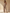 Eleganter Off Shoulder Jumpsuit für Damen – Liana