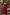 Elegantes ärmelloses Midikleid mit Korsett-Passform – Emilie