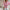 Blumenbluse Damen Frühling Sommer leicht – Paula