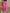 Sommer Haremshose Damen Baumwolle bequem – Lara