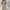 Zeitlos elegantes Damenkleid mit perfekter Passform – Ava
