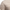 Herren Strickpullover mit Karomuster – Emil