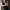 Zeitlose Trachtenweste mit Vintage-Charme – Laurenz