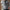 Zeitlose Trachtenweste mit Vintage-Charme – Laurenz