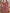 Bluse Damen V-Ausschnitt strukturiert & elegant – Mira