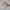 Bequeme Damensandalen mit Stil und Halt – Emilia