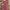 Bluse Damen V-Ausschnitt strukturiert & elegant – Mira