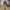 Herren Grobstrickpullover V-Ausschnitt – Langarm Locker