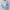 Damen Oversize Strick Pullover - Langarm Warm
