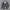 Herren Winter Cord Jacke – Warm Gepolstert