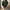 Herren Strickpullover - Warm Lang Geschnitten