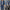 Oversized Damen Denim Hemd mit Taschen – Liv